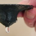 Expert Tips: What Not to Use Flex Seal On